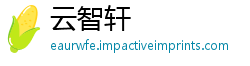 云智轩